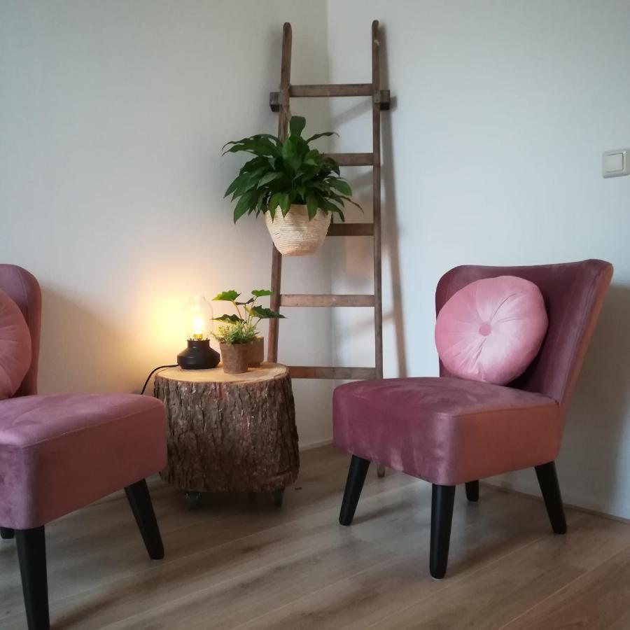 Vriescheloo B&B Het Klontje المظهر الخارجي الصورة